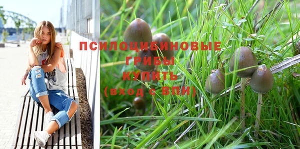 прущие крисы Балабаново
