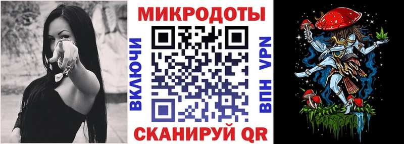 как найти закладки Вятские Поляны Псилоцибиновые грибы прущие грибы